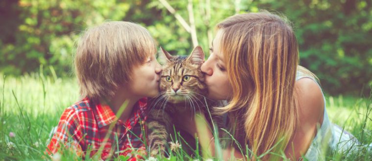 חבר על ארבע: האם כדאי לאמץ חתול לבית עם ילדים?